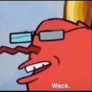 Meet your Posher, Riley